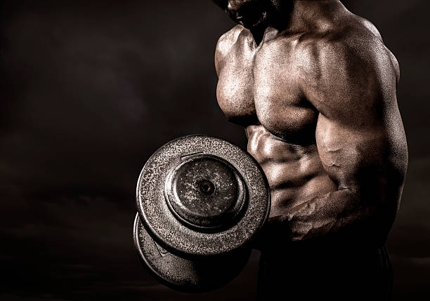 Modern Warrior, weight loss and fitness
